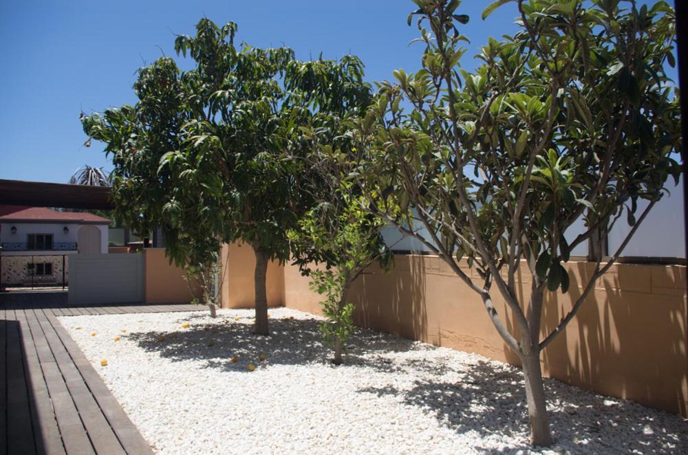Villa La Marosca - Jacuzzi, Private Pool, 3 Bedrooms Caleta De Fuste Εξωτερικό φωτογραφία
